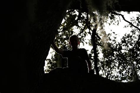 Tree Climb Photograph By Darrell Hutto Fine Art America