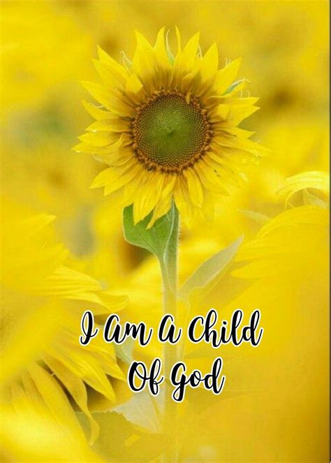 Pin By 𝒌𝒂𝒍𝒆𝒚 🌻 On Finding Jesus Christ Sunflower Quotes Sunflower