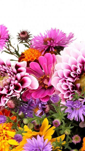 Find the best floral wallpaper on wallpapertag. Floral Wallpaper iPhone | PixelsTalk.Net