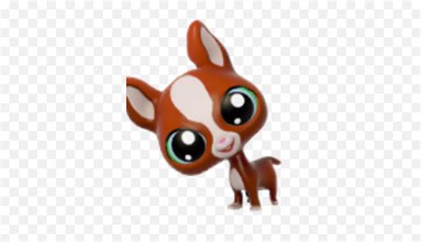 Chihuahuas Littlest Pet Shop Gameloft Wiki Fandom Mini Chihuahua Lps