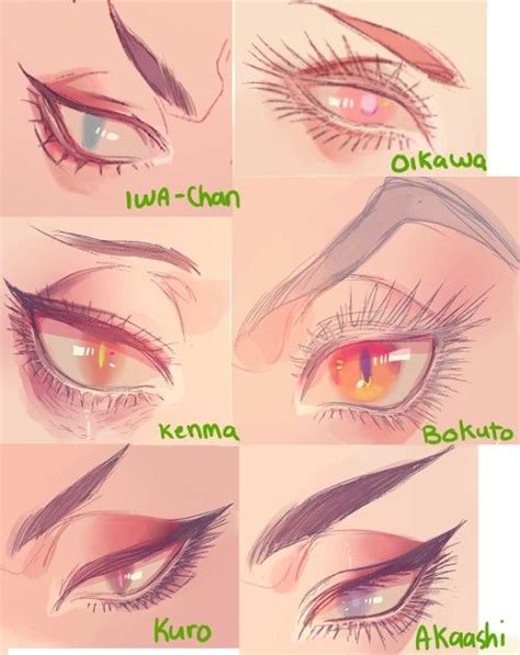 The Different Types Of Eyes Are Shown In This Drawing