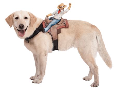 Dog Riders Cowboy Costume Includes One Dog Harness With A Cowboy
