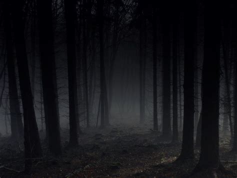 Gloomy Grey By Weissglut Dark Weather Mystical Forest Darkness Falls