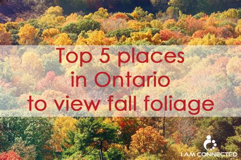 Top 5 Places In Ontario To View Fall Foliage