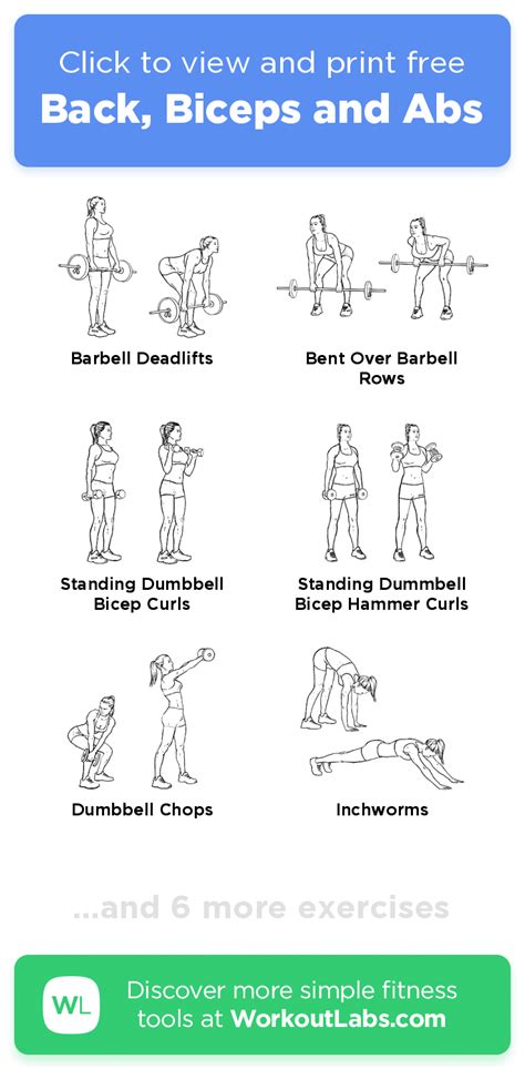 Back Biceps And Abs Click To View And Print This Illustrated