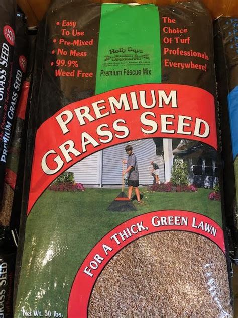 Grass Seed Premium Fescue Mix 50lb Holly Days Nursery Garden