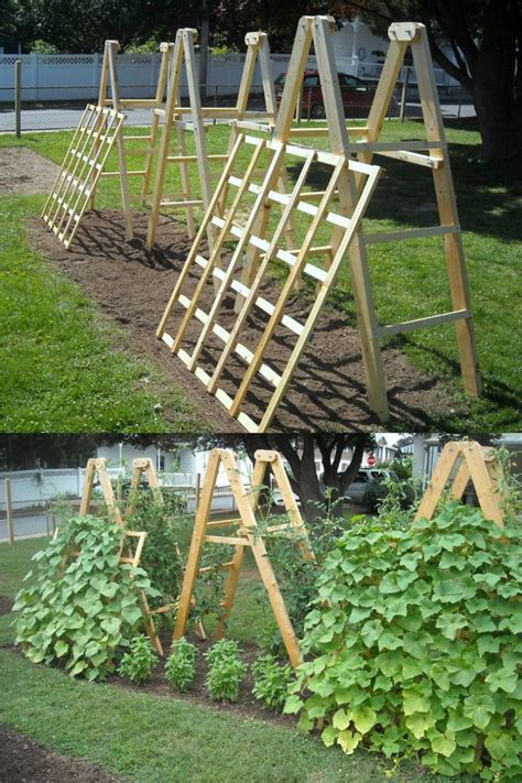 15 Easy Diy Cucumber Trellis Ideas Diy Garden Trellis Cucumber