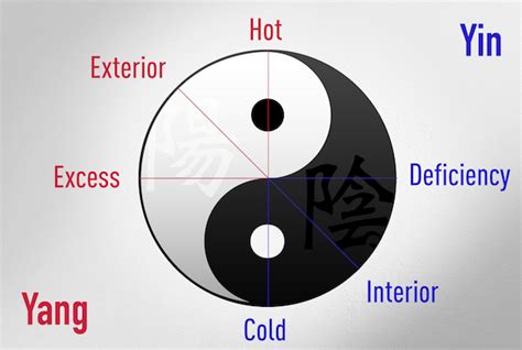 The 8 Principles Of Tcm Going Beyond Yin And Yang To Assess Imbalances