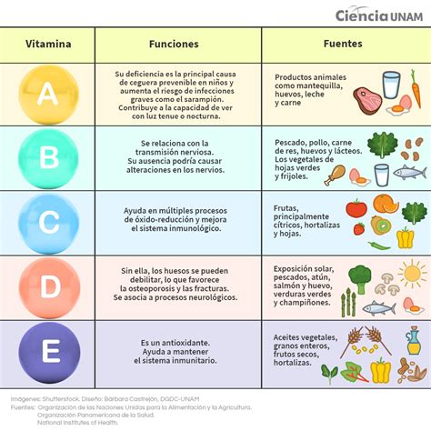 Las Vitaminas ¿qué Tan Responsables Son De Nuestra Salud