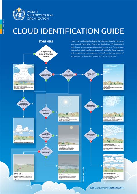 How To Identify 10 Fundamental Cloud Types Infographic