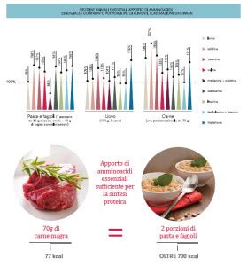 Le proprietà della carne una fonte importante di nutrienti essenziali Cremonini Risponde