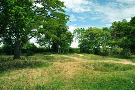 Meadow Trees Sky Landscape Wallpaper 4288x2848 182277