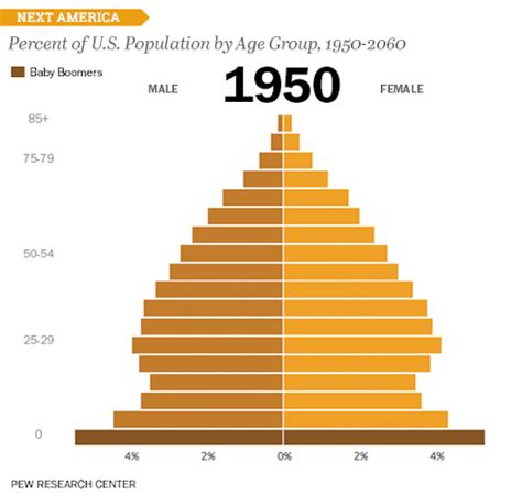 Percent Of Us Population By Age Group Data Visualization Examples