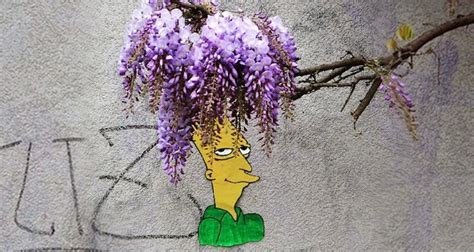 Reviewers have described her work as: Sideshow Bob Gets A Fabulous Flowery New Hair Do Thanks To ...