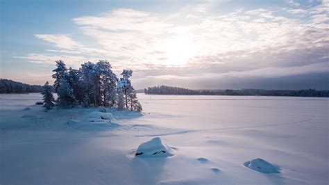 Download Wallpaper 1366x768 Trees Landscape Snow Winter