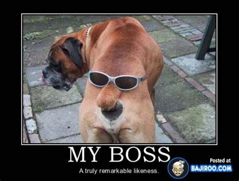 Grumpy Cat Bosss Day Youre The Only Boss Ive Ever Had That Hasnt