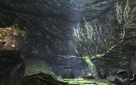 The Elder Scrolls Skyrim Tree Cave Wallpaper 1440x900 394279