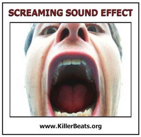 Man Screaming Sound Effect Wav 11 Tradebit