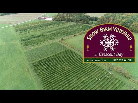 Analytics cookies allow us to understand how visitors use our site and to measure and optimize the site. Vermont Agriculture, Vermont Wines, Snow Farm Vineyard ...