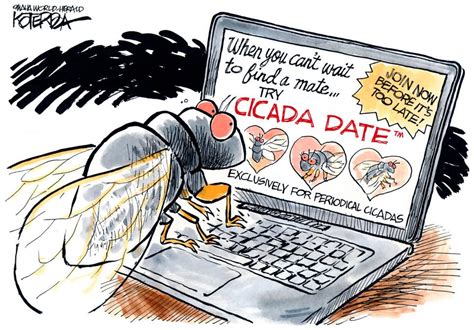 Jeff Koterba Cartoon Cicada Dating The Eagle Cartoons