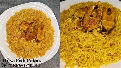 llish Polau Bengali Style Recipe Hilsa Fish Polau Recipe ইলশ পলও
