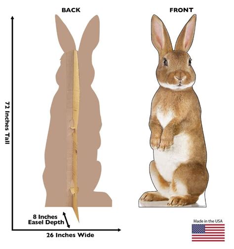 Advanced Graphics Bunny Rabbit ... | Advanced graphics, Life size cardboard cutouts, Cardboard ...