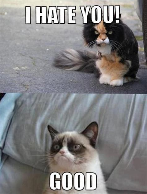 45 Best Funny Grumpy Cat Memes Of All Time Page 4 Of 5 The Viraler