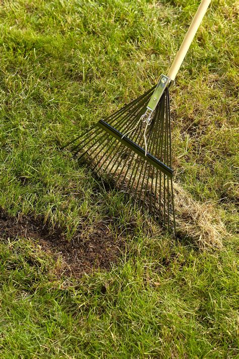 Another test is to walk across the lawn: Why, When, and How to Dethatch a Lawn | Better Homes & Gardens