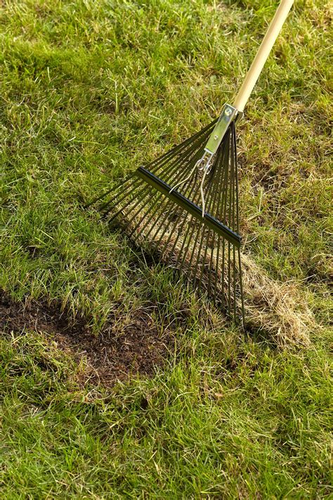 Dethatching your lawn is actually relatively simple. Why, When, and How to Dethatch a Lawn | Better Homes & Gardens