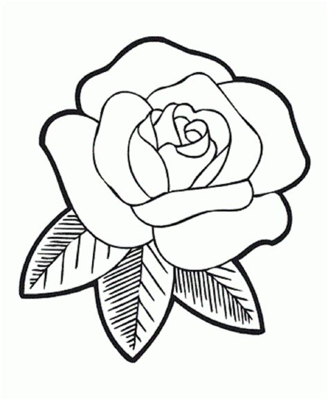 ROSA DIBUJO PARA COLOREAR - Imagui