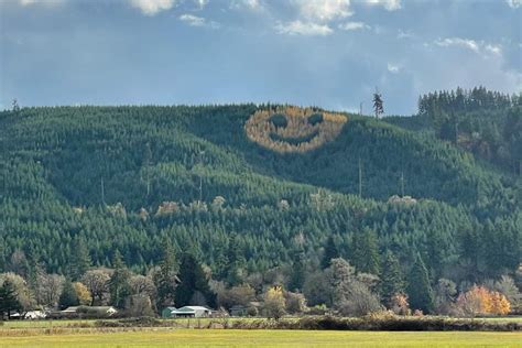 Massive Smiley Face Of Trees Appears In Oregon Every Fall Photo