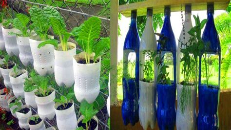 Diy Garden Ideas With Plastic Bottles