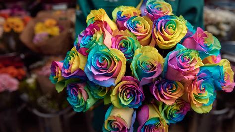 These Rainbow Roses Are The Ultimate Valentines Day Bouquet