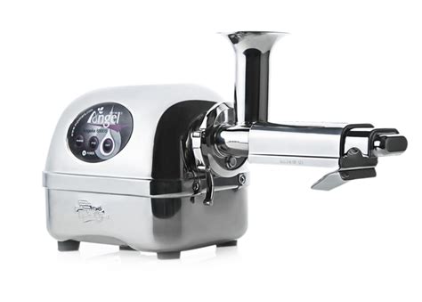 Home Juicers Angel Juicer