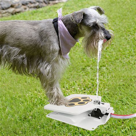 11 Best Outdoor Dog Water Bowls 2022