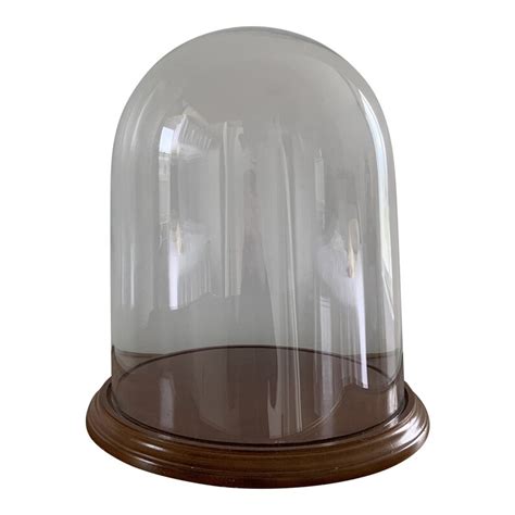 Large Glass Display Dome With Wooden Base Etsy