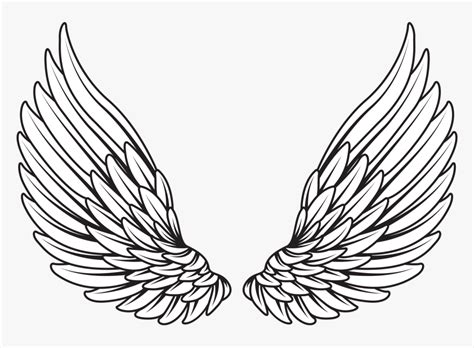 Download Angel Wings Vector Png, Transparent Png - kindpng