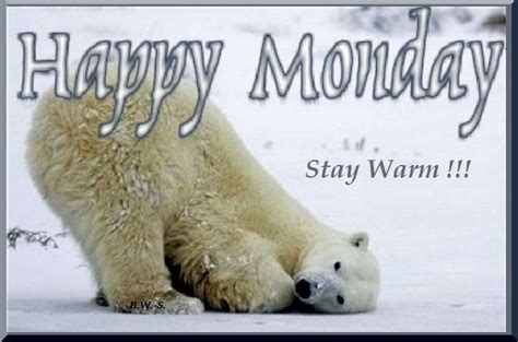 Happy Cold Monday Happy Monday Happy Monday Morning Monday Images