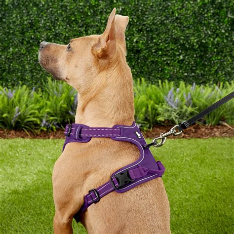 10 Best Dog Harnesses For Walking In 2023 Reviews And Top Picks Pet Keen