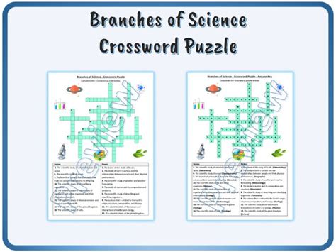 Branches Of Science Crossword Puzzle Worksheet Activity Printable