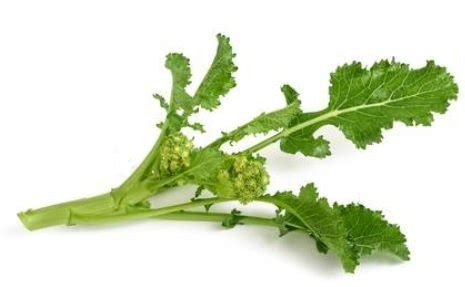 Basta saperli abbinare ad ingredienti con i quali si come si puliscono i friarielli napoletani? Cosa sono i Friarielli: Proprietà e Benefici - Mr.Loto