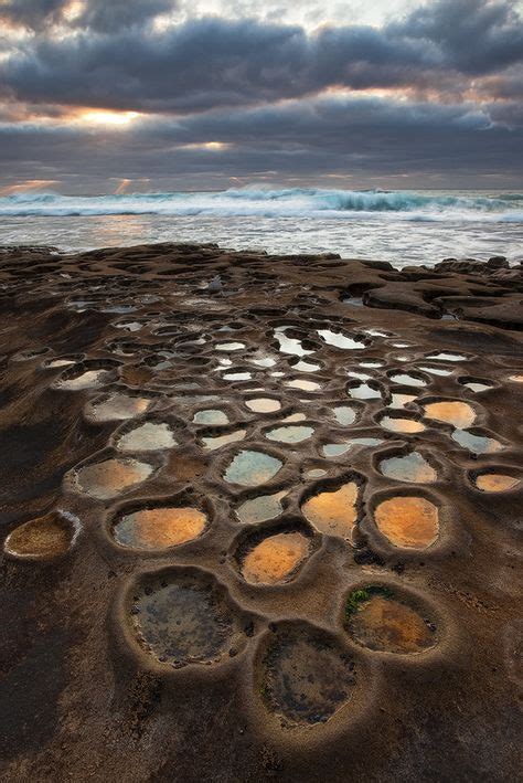 15 Tide Pools Ideas Tide Pools Places To See Wonders Of The World
