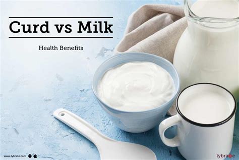 Curd And Milk Health Benefits That You Need To Know By Dt Tania