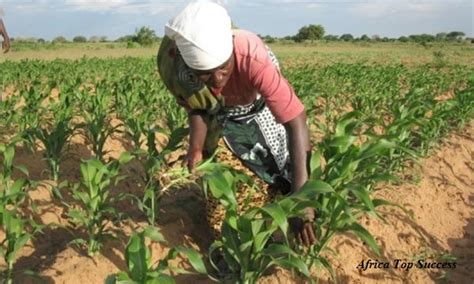 L'Afrique, dans notre imaginaire, c'est le...  A2C le site de l