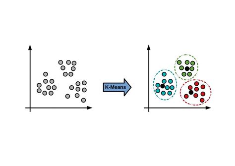 5 Clustering Algorithms Data Scientists Need To Know The Key Is