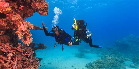 Scuba Diving From Safaga Port Egypt Tours Portal