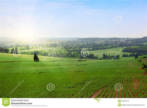 Green fields stock photo. Image of green, horizon, daytime - 18055474