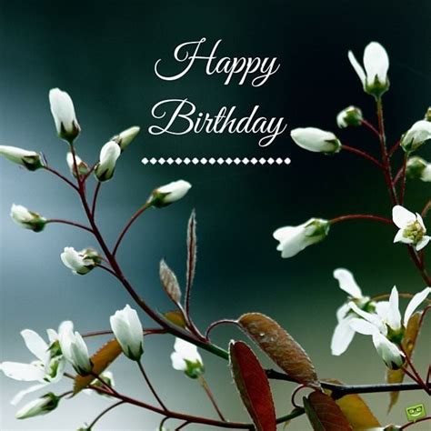 See more ideas about happy birthday, happy birthday greetings, happy birthday images. 25 Original Happy Birthday Pictures that Will Make Someone ...