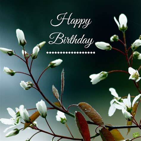 Find your perfect happy birthday image to celebrate a joyous occasion free download sweet and fun pictures free for commercial use. 25 Original Happy Birthday Pictures to Make Someone's ...