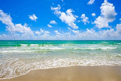 Top 9 Things To Do Hollywood Florida